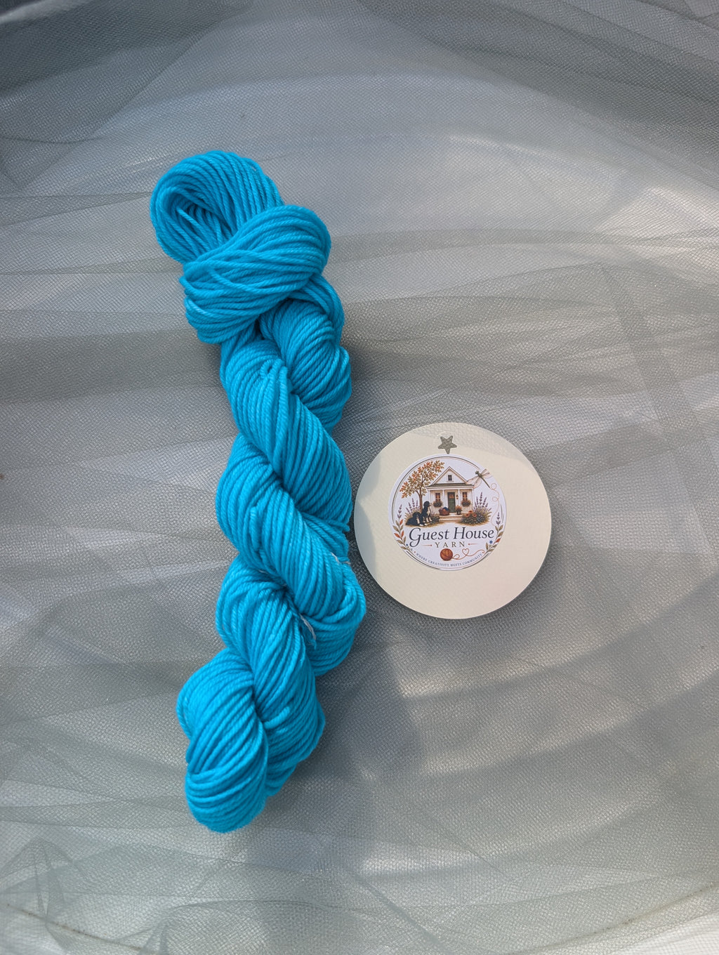 Hand Dyed Mini-Skein - Blues & Purples