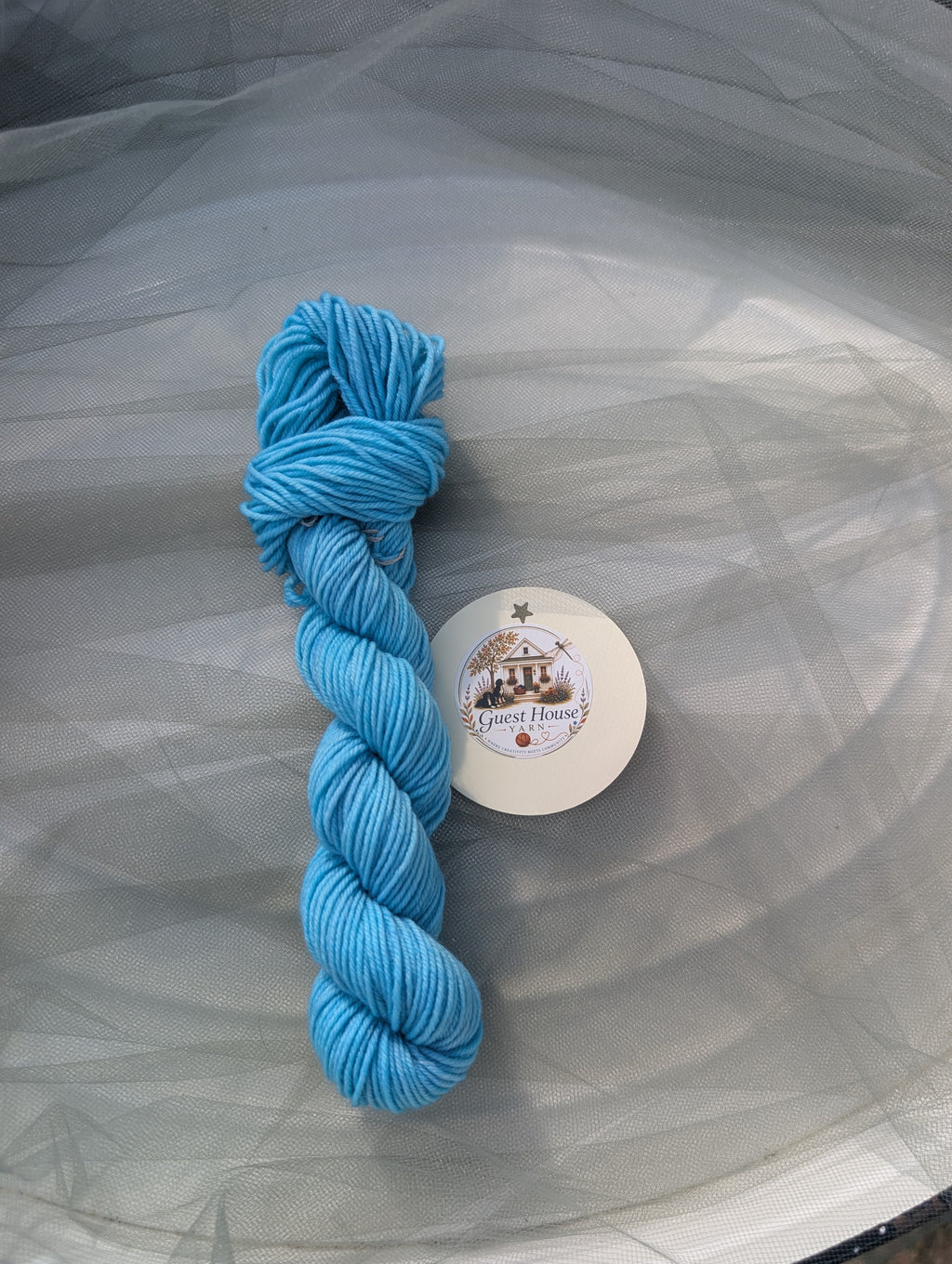 Hand Dyed Mini-Skein - Blues & Purples