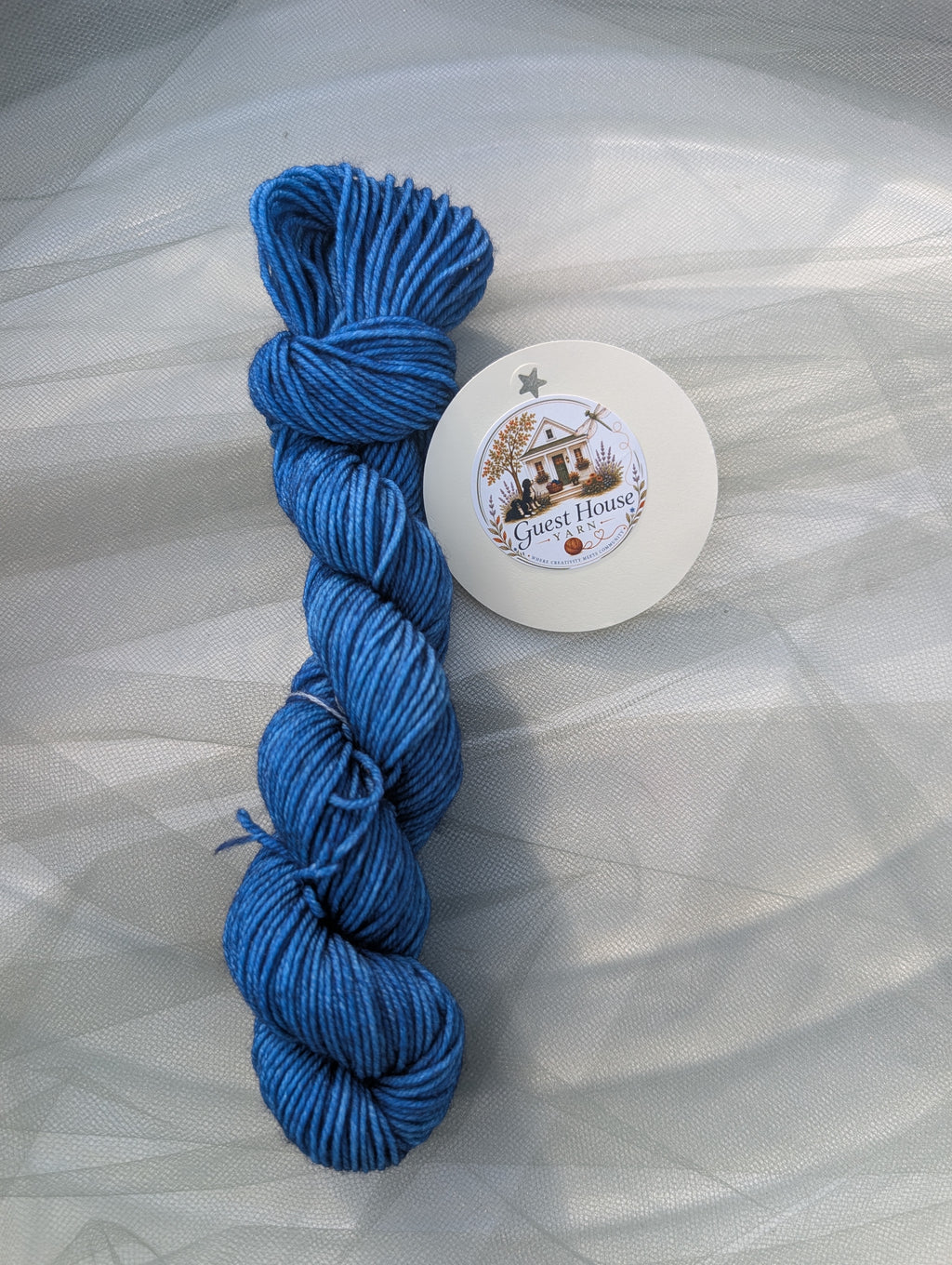 Hand Dyed Mini-Skein - Blues & Purples